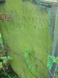 image of grave number 219870